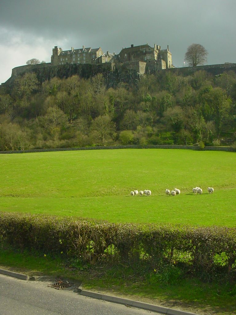 Stirling castle (84)